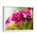 Glorioso En Rojo V - Gillian Hunt | Cuadro decorativo de Canvas Lab