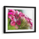 Glorioso En Rojo Vi - Gillian Hunt | Cuadro decorativo de Canvas Lab