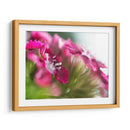 Glorioso En Rojo Vi - Gillian Hunt | Cuadro decorativo de Canvas Lab