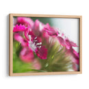 Glorioso En Rojo Vi - Gillian Hunt | Cuadro decorativo de Canvas Lab