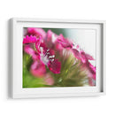 Glorioso En Rojo Vi - Gillian Hunt | Cuadro decorativo de Canvas Lab