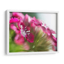 Glorioso En Rojo Vi - Gillian Hunt | Cuadro decorativo de Canvas Lab