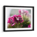 Glorioso En Rojo Vii - Gillian Hunt | Cuadro decorativo de Canvas Lab