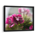 Glorioso En Rojo Vii - Gillian Hunt | Cuadro decorativo de Canvas Lab