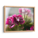 Glorioso En Rojo Vii - Gillian Hunt | Cuadro decorativo de Canvas Lab