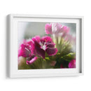 Glorioso En Rojo Vii - Gillian Hunt | Cuadro decorativo de Canvas Lab