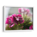 Glorioso En Rojo Vii - Gillian Hunt | Cuadro decorativo de Canvas Lab