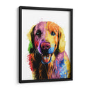 Labrador colorido - Hue Art | Cuadro decorativo de Canvas Lab