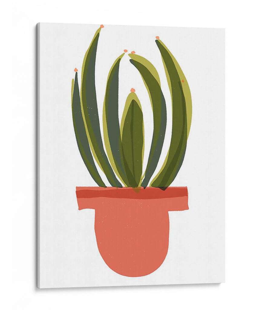 Mod Cactus Iv - Rob Delamater | Cuadro decorativo de Canvas Lab