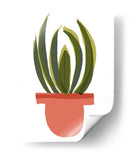 Mod Cactus Iv - Rob Delamater | Cuadro decorativo de Canvas Lab