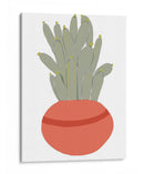 Mod Cactus Viii - Rob Delamater | Cuadro decorativo de Canvas Lab