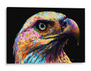 Águila Colorida - Hue Art | Cuadro decorativo de Canvas Lab