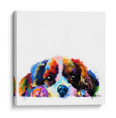 Baby Cavalier King Charles - Hue Art | Cuadro decorativo de Canvas Lab