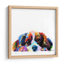 Baby Cavalier King Charles - Hue Art | Cuadro decorativo de Canvas Lab