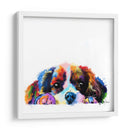 Baby Cavalier King Charles - Hue Art | Cuadro decorativo de Canvas Lab