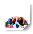 Baby Cavalier King Charles - Hue Art | Cuadro decorativo de Canvas Lab