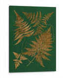 Gild Ferns Ii - Vision Studio | Cuadro decorativo de Canvas Lab