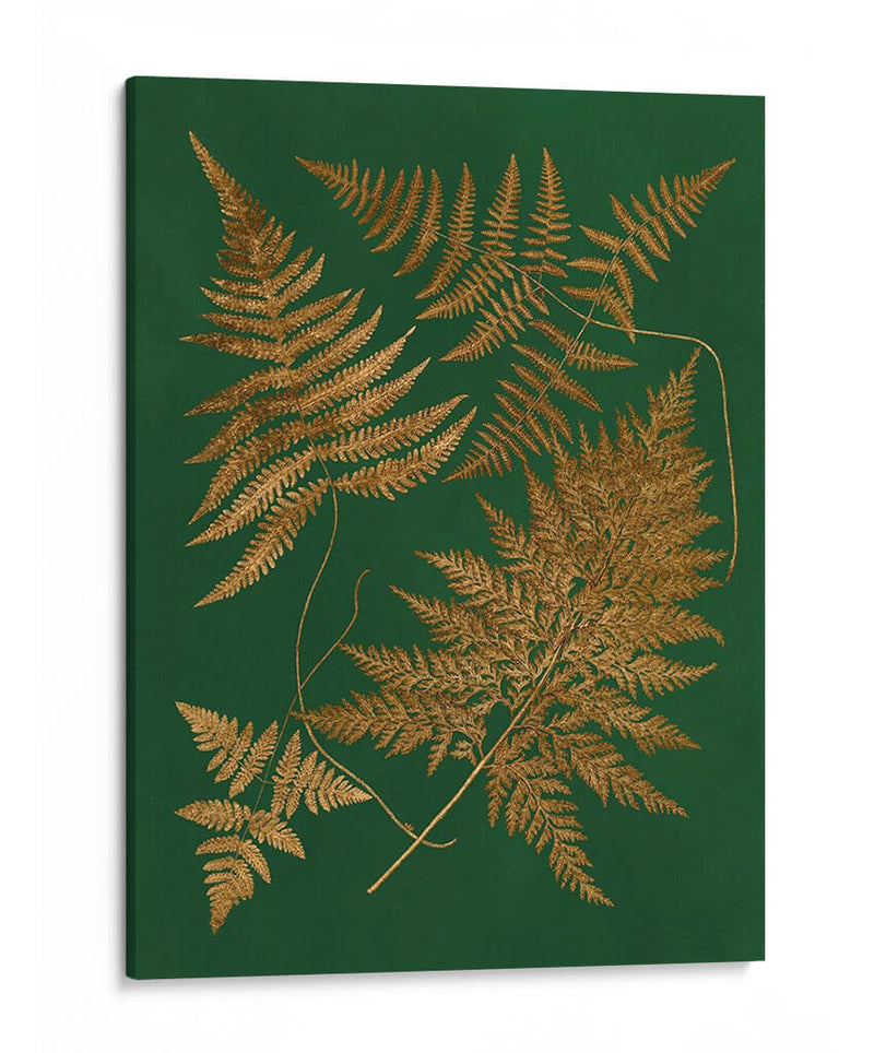 Gild Ferns Ii - Vision Studio | Cuadro decorativo de Canvas Lab