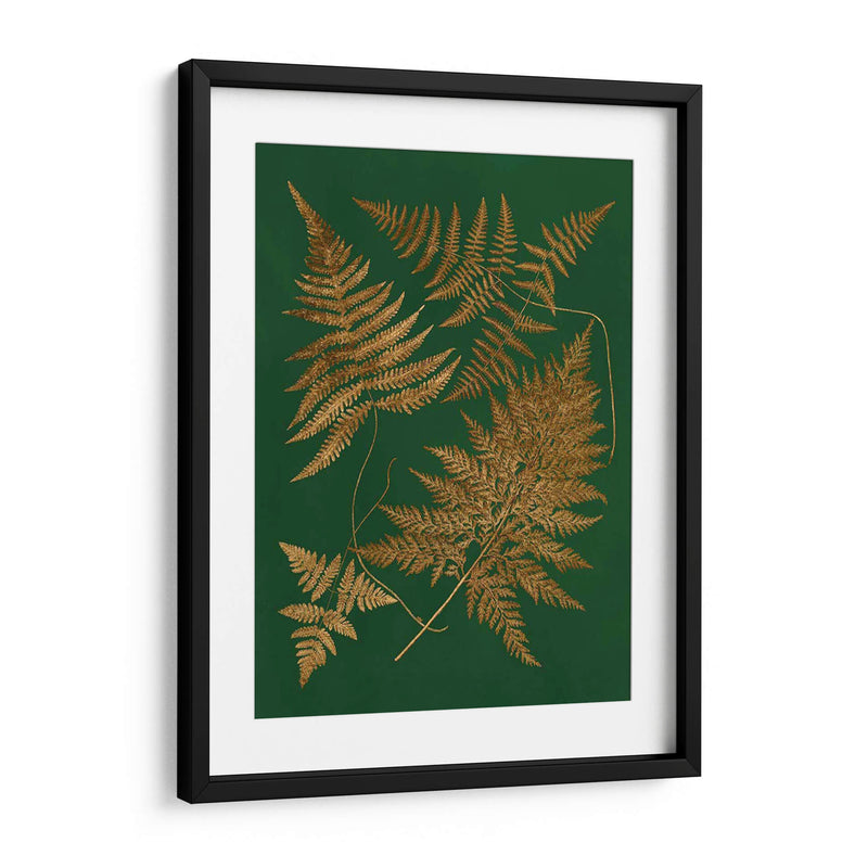 Gild Ferns Ii - Vision Studio | Cuadro decorativo de Canvas Lab