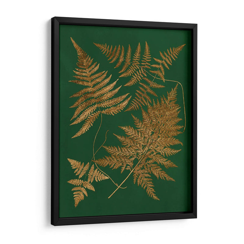 Gild Ferns Ii - Vision Studio | Cuadro decorativo de Canvas Lab