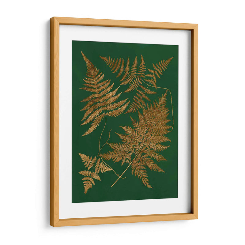 Gild Ferns Ii - Vision Studio | Cuadro decorativo de Canvas Lab