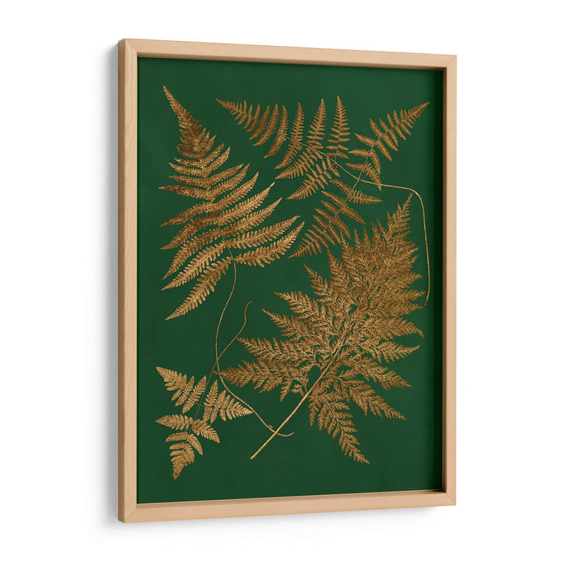 Gild Ferns Ii - Vision Studio | Cuadro decorativo de Canvas Lab