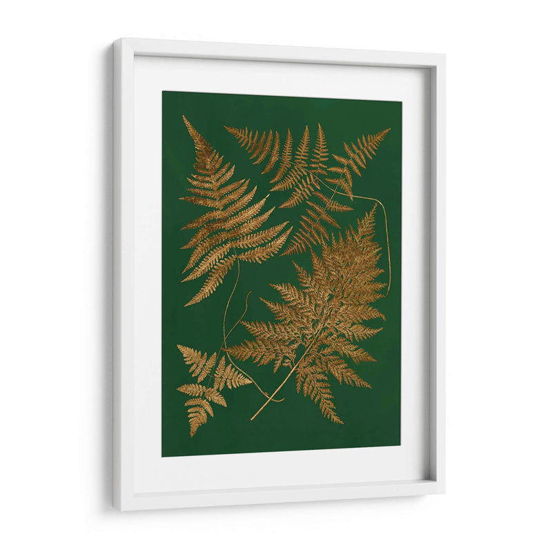 Gild Ferns Ii - Vision Studio | Cuadro decorativo de Canvas Lab