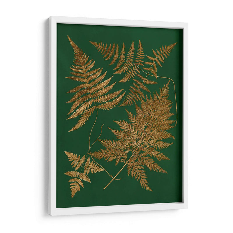 Gild Ferns Ii - Vision Studio | Cuadro decorativo de Canvas Lab