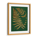 Helechos Dorados Iv - Vision Studio | Cuadro decorativo de Canvas Lab