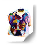 French Bulldog Colorido - Hue Art | Cuadro decorativo de Canvas Lab