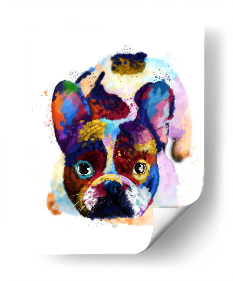 French Bulldog Colorido - Hue Art | Cuadro decorativo de Canvas Lab