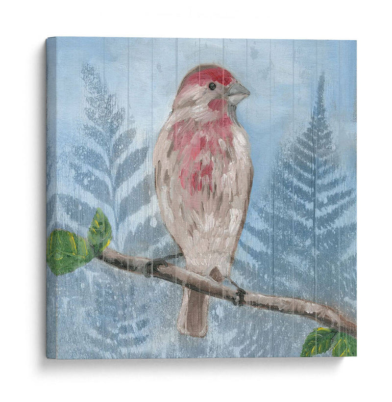 Songbird Del Este I - Alicia Ludwig | Cuadro decorativo de Canvas Lab