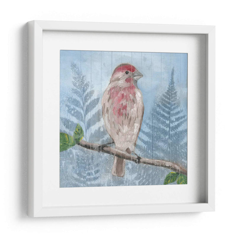 Songbird Del Este I - Alicia Ludwig | Cuadro decorativo de Canvas Lab