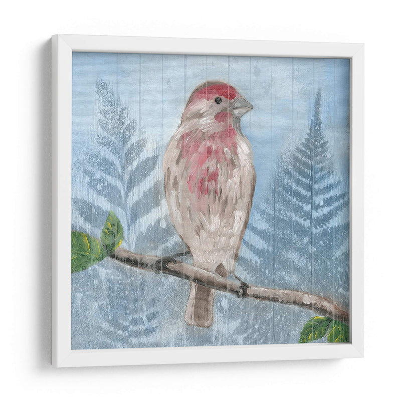 Songbird Del Este I - Alicia Ludwig | Cuadro decorativo de Canvas Lab