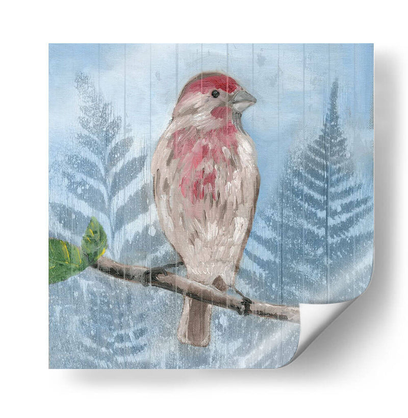 Songbird Del Este I - Alicia Ludwig | Cuadro decorativo de Canvas Lab