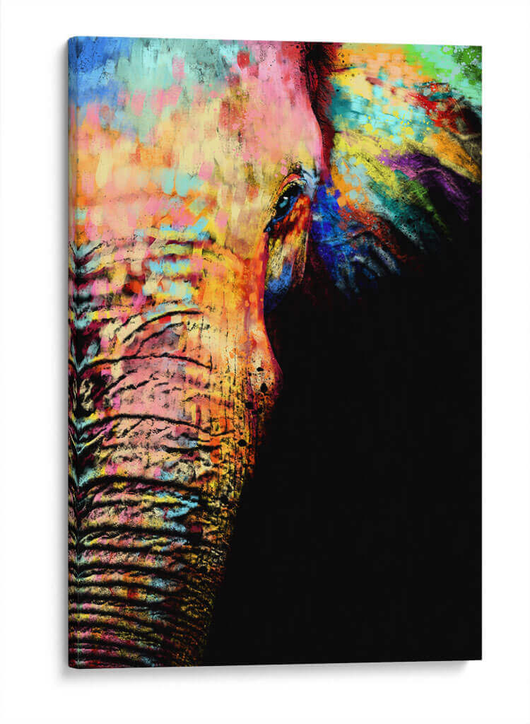 Close Up Elefante Colorido - Hue Art | Cuadro decorativo de Canvas Lab