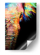 Close Up Elefante Colorido - Hue Art | Cuadro decorativo de Canvas Lab