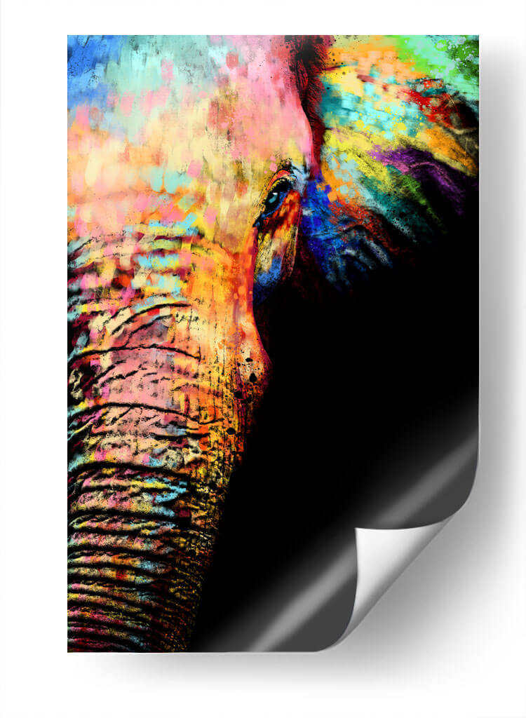 Close Up Elefante Colorido - Hue Art | Cuadro decorativo de Canvas Lab