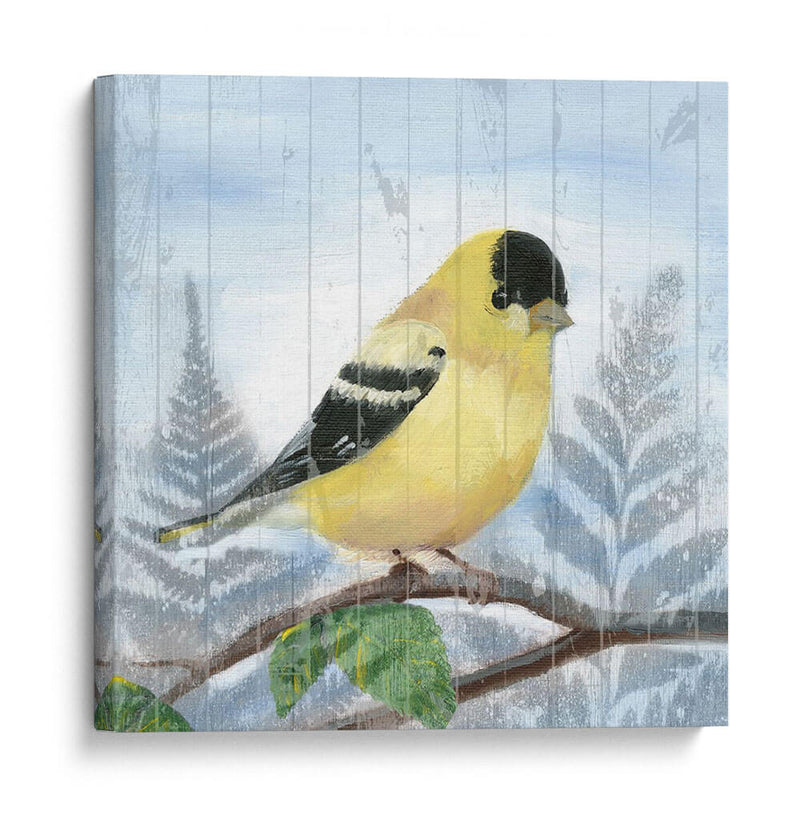 Songbird Del Este Iii - Alicia Ludwig | Cuadro decorativo de Canvas Lab