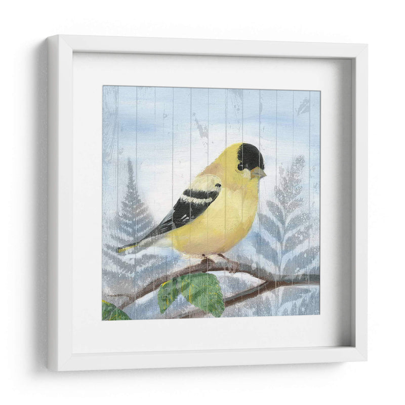 Songbird Del Este Iii - Alicia Ludwig | Cuadro decorativo de Canvas Lab