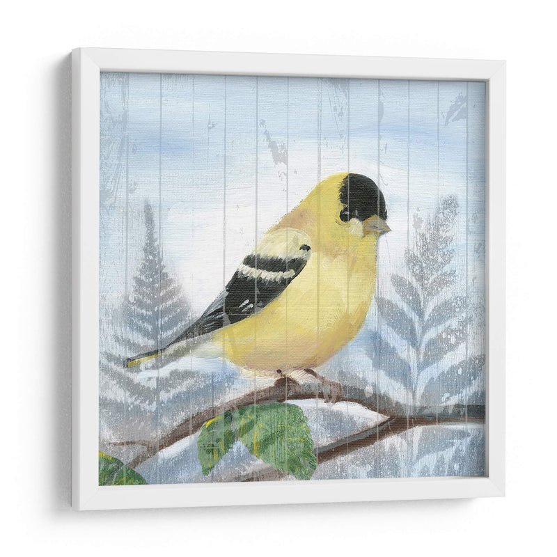 Songbird Del Este Iii - Alicia Ludwig | Cuadro decorativo de Canvas Lab