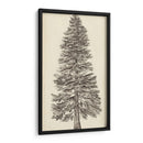Bosquejo Del Árbol Del Noroeste Del Pacífico I - Melissa Wang | Cuadro decorativo de Canvas Lab