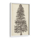 Bosquejo Del Árbol Del Noroeste Del Pacífico I - Melissa Wang | Cuadro decorativo de Canvas Lab