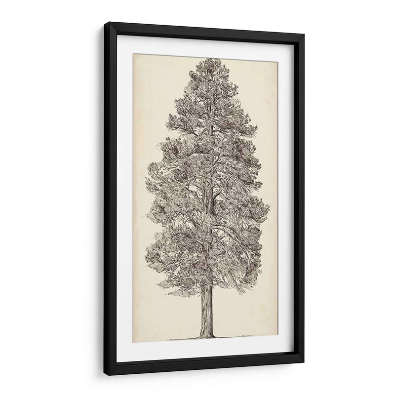 Bosquejo Del Árbol Del Noroeste Del Pacífico Iii - Melissa Wang | Cuadro decorativo de Canvas Lab