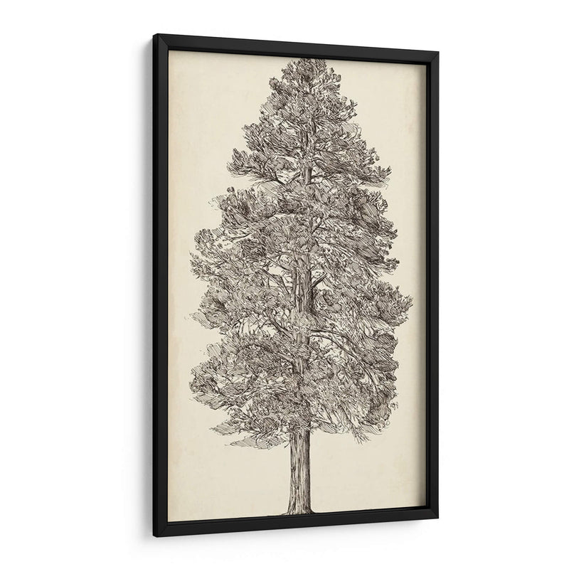 Bosquejo Del Árbol Del Noroeste Del Pacífico Iii - Melissa Wang | Cuadro decorativo de Canvas Lab