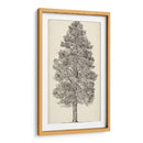 Bosquejo Del Árbol Del Noroeste Del Pacífico Iii - Melissa Wang | Cuadro decorativo de Canvas Lab