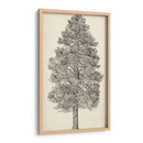 Bosquejo Del Árbol Del Noroeste Del Pacífico Iii - Melissa Wang | Cuadro decorativo de Canvas Lab