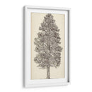 Bosquejo Del Árbol Del Noroeste Del Pacífico Iii - Melissa Wang | Cuadro decorativo de Canvas Lab