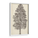 Bosquejo Del Árbol Del Noroeste Del Pacífico Iii - Melissa Wang | Cuadro decorativo de Canvas Lab