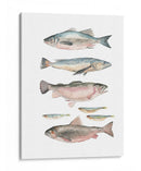 Composición De Peces I - Emma Scarvey | Cuadro decorativo de Canvas Lab